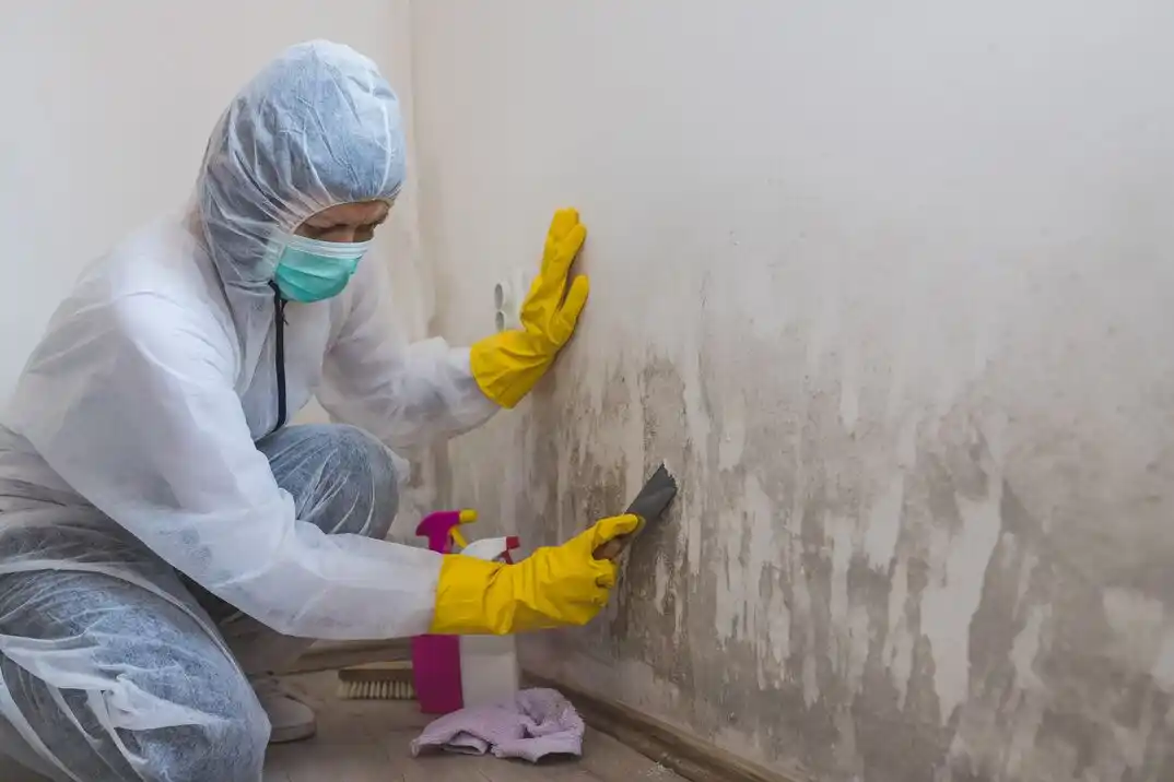 water damage restoration service North Biloxi